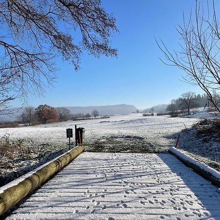 Ferienwohnung Elfengast, Fasssauna, Harzurlaub In Bester Lage Bad Harzburg Kültér fotó